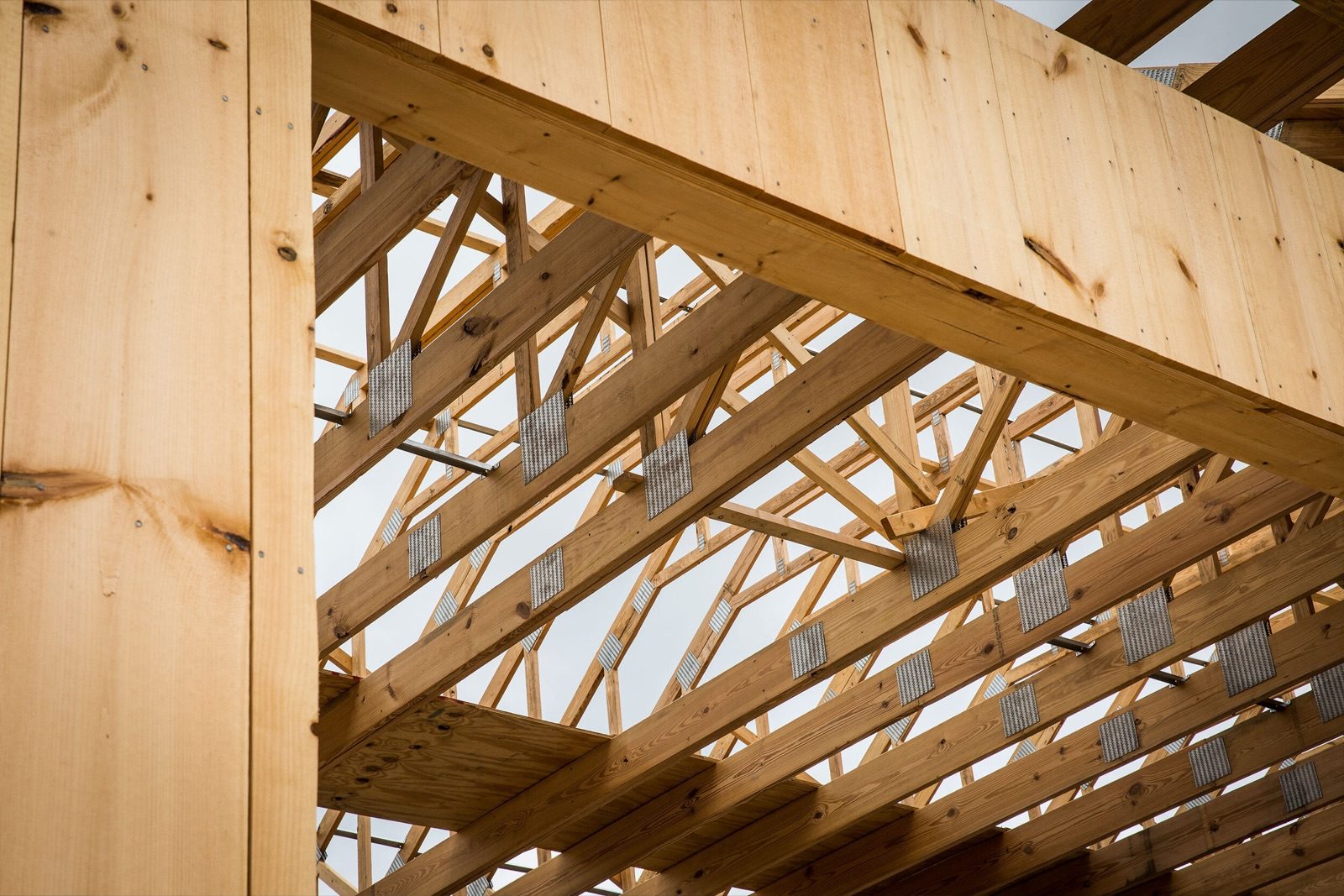 Roof trusses and framing timber under construction, seen from below