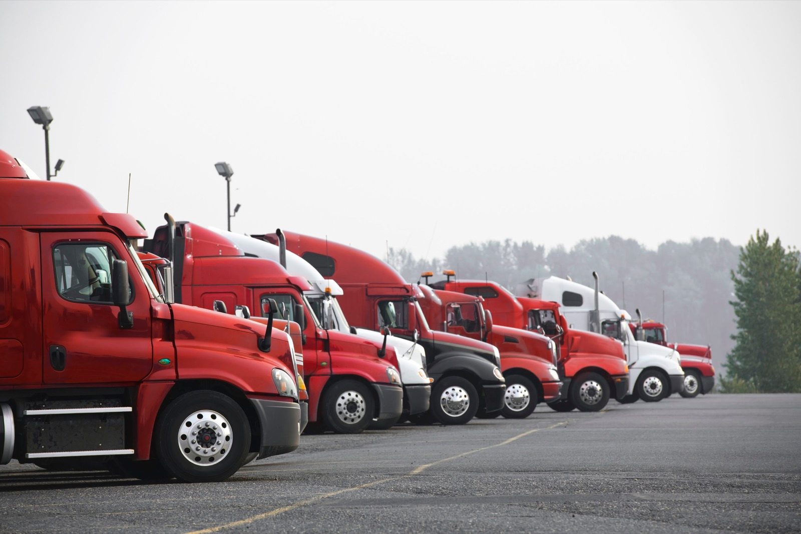 Row of red semi trucks parked in a lot