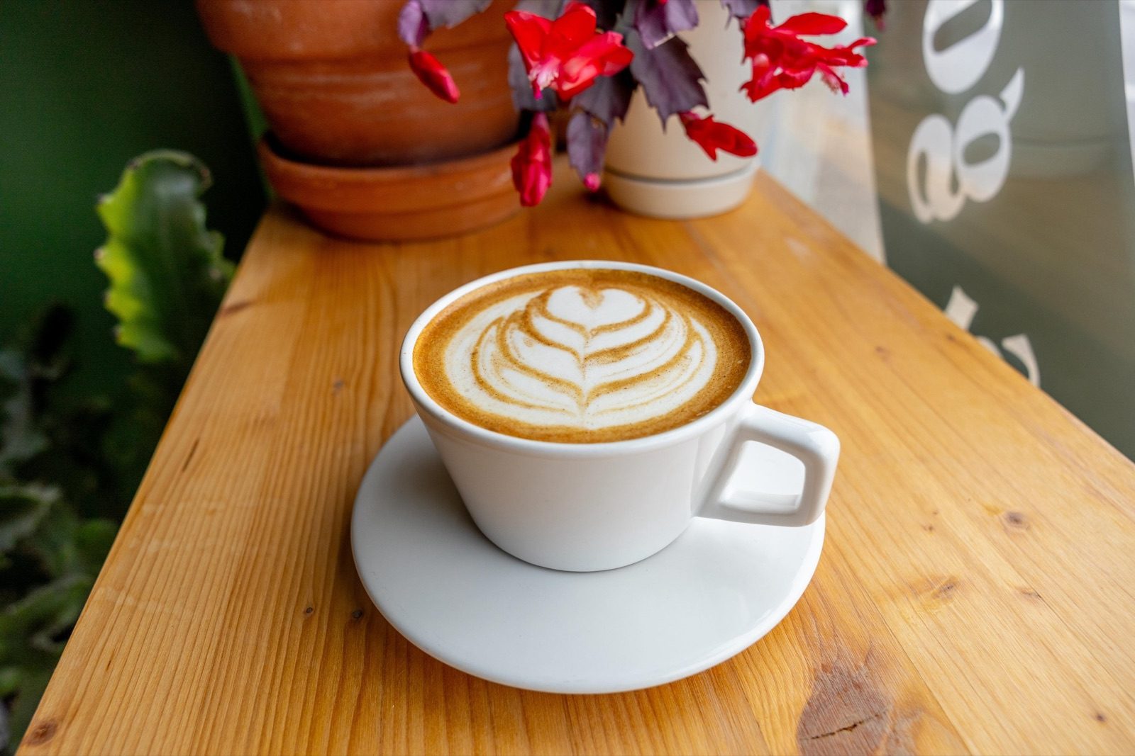 A latte in a white cup on a wooden ledge beside a plant with red flowers