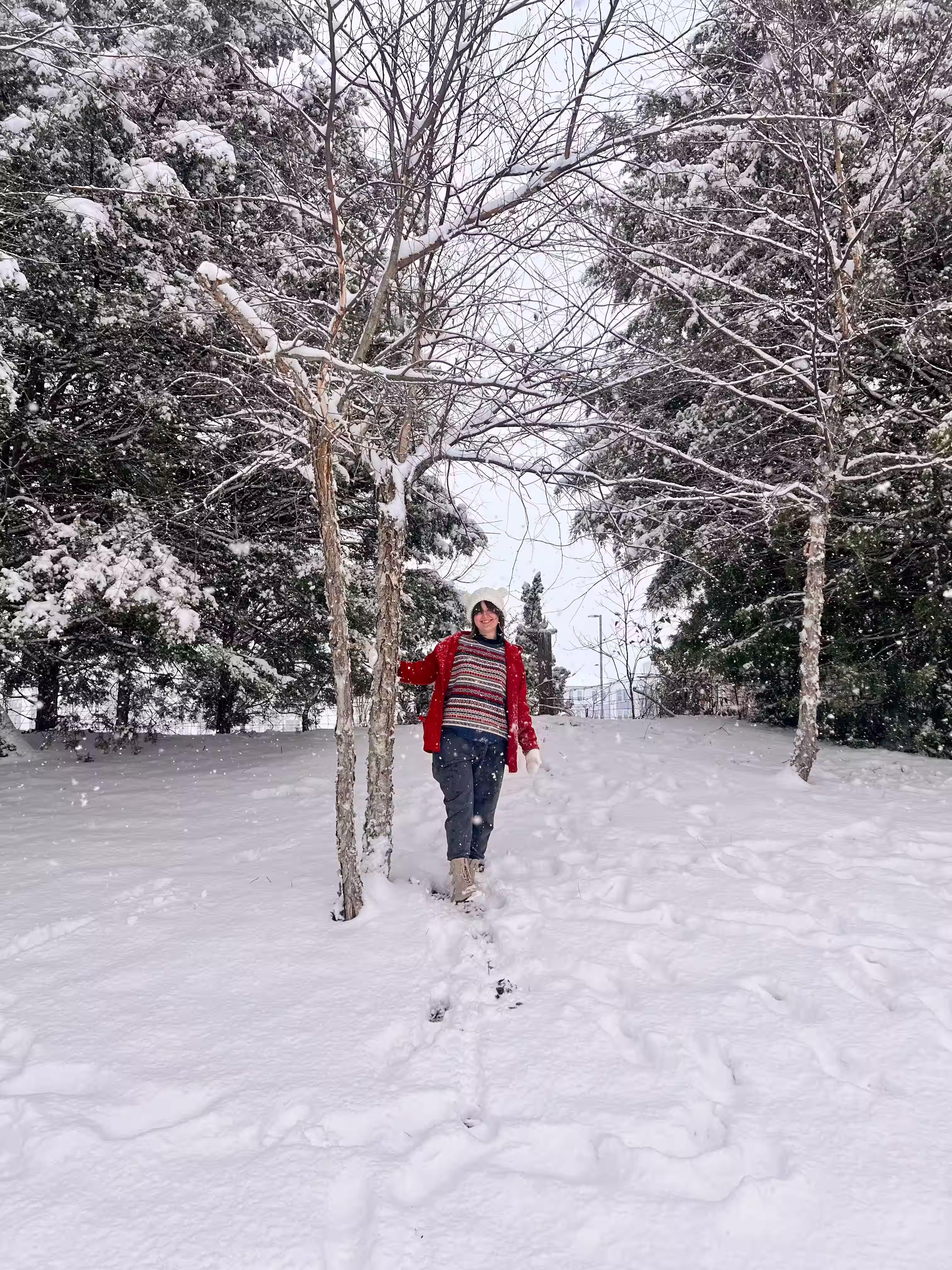 Lizzy out walking in fresh snow