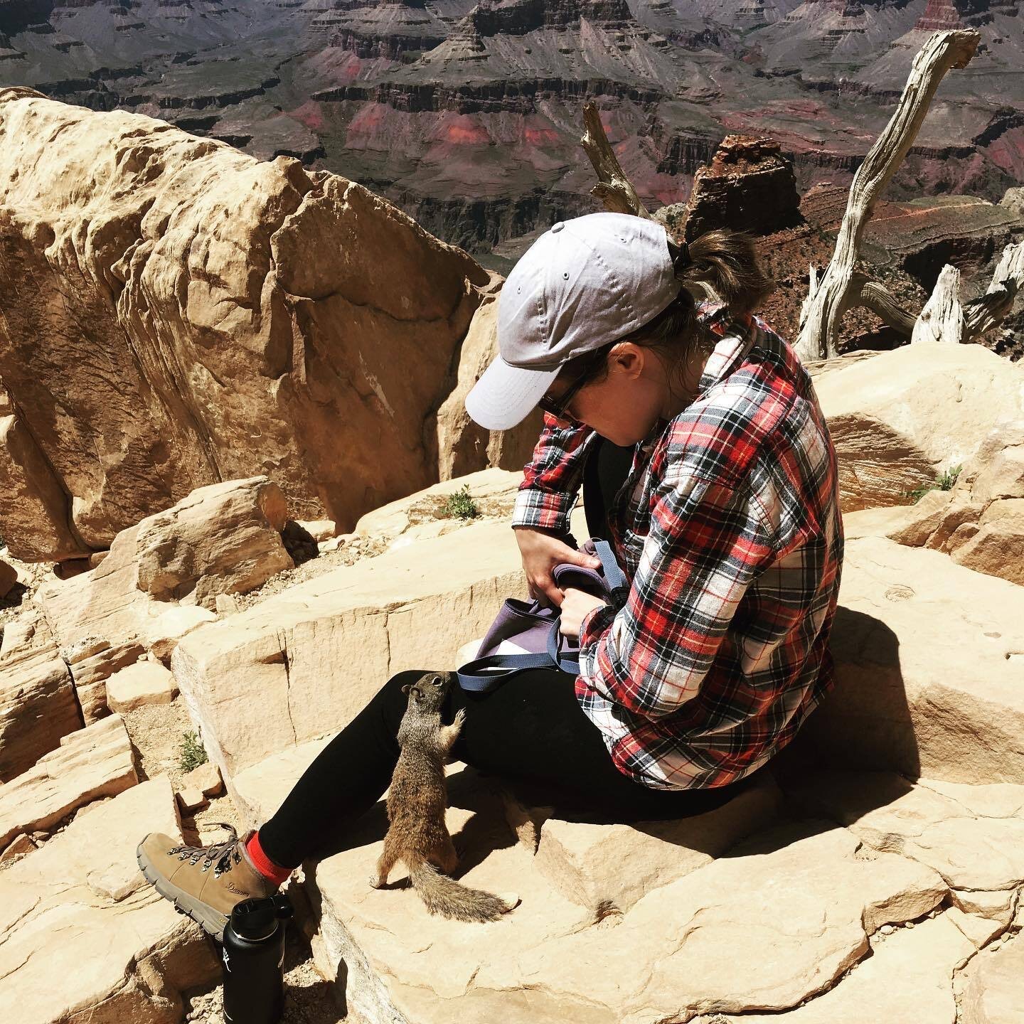 Morgen meeting a squirrel at the Grand Canyon