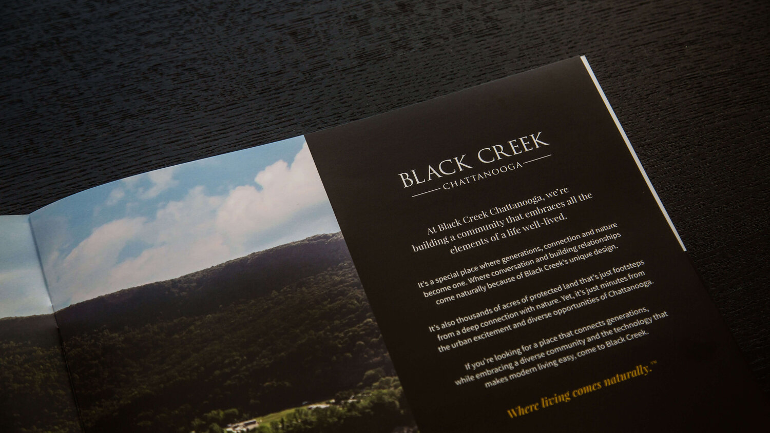 Black Creek print