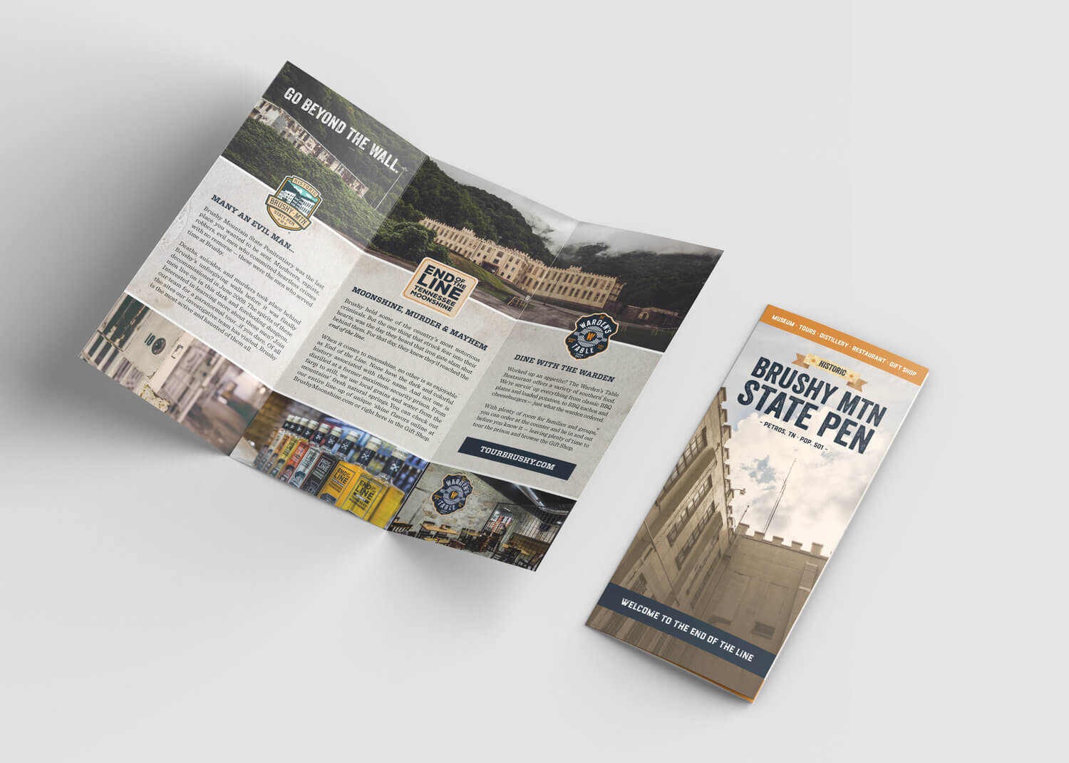 Rack card and brochure